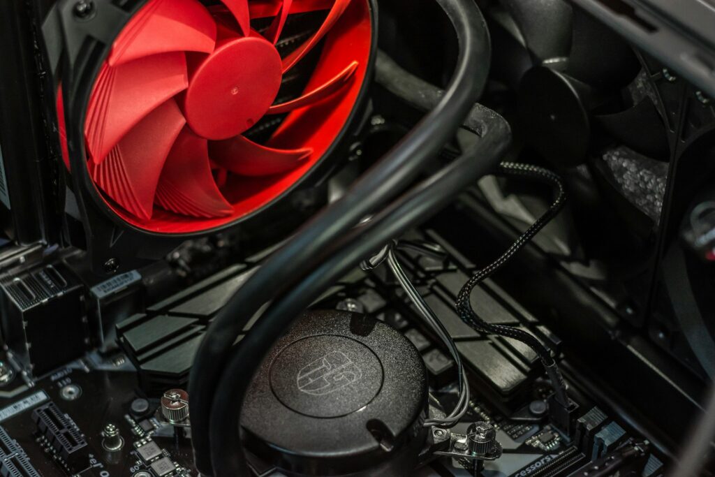 fan